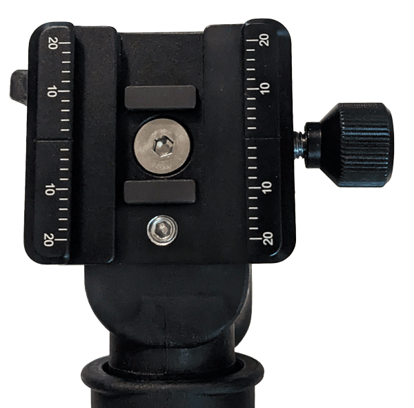 Dual clamp
